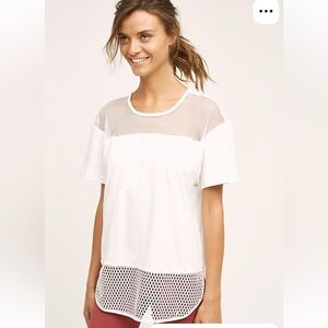 Anatomie White Mesh Accent Short Sleeve Top
